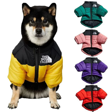 ❄️ Dog Down Jacket – Comfort & Style for Winter! 🐾