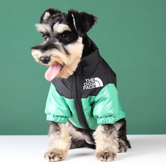 ❄️ Dog Down Jacket – Comfort & Style for Winter! 🐾